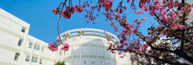 南京师范大学附属实验学校网站