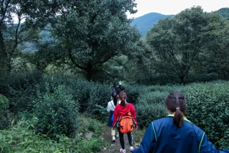 句容碧桂园学校太湖青春毅行活动.jpg