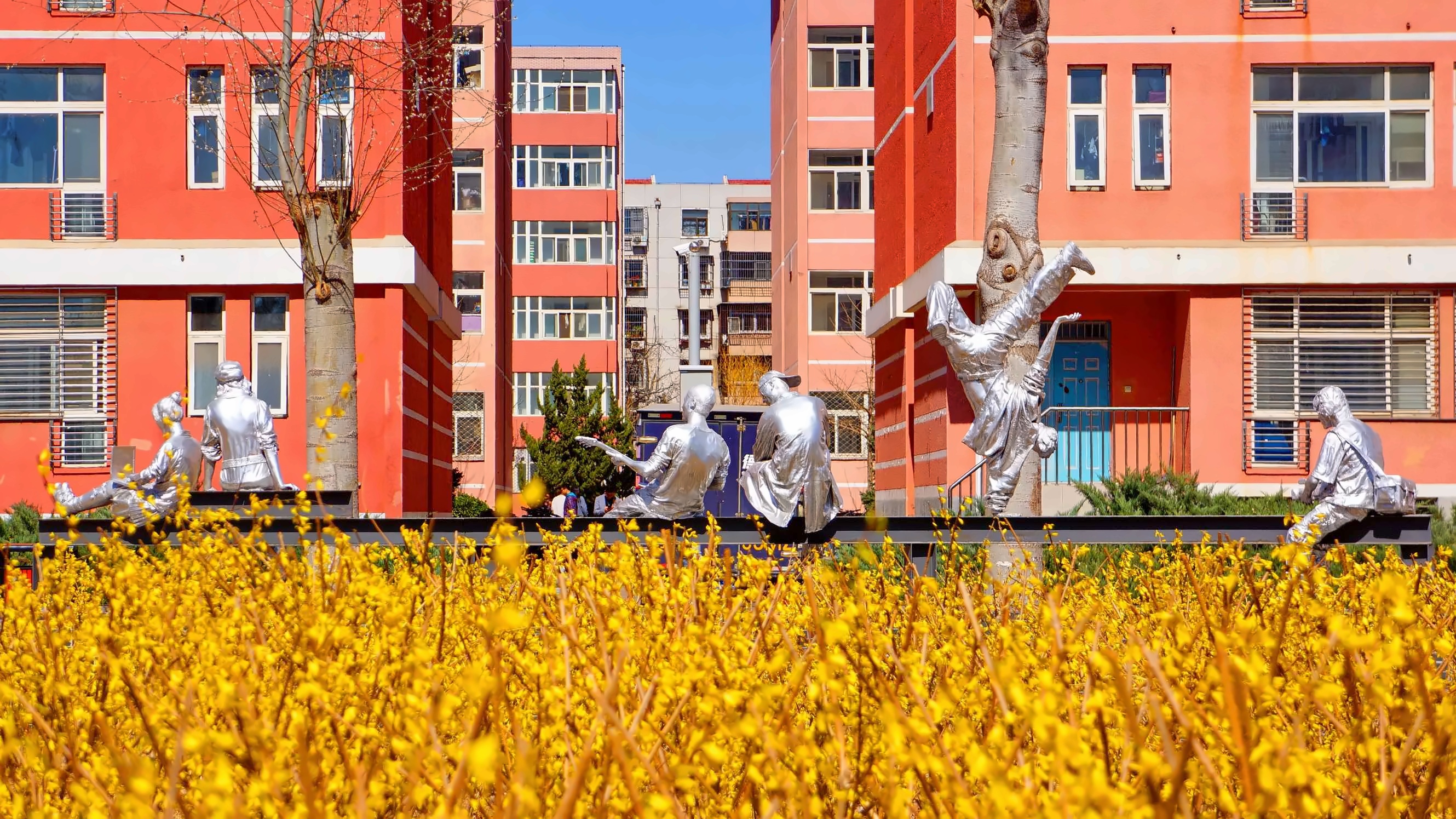 中国石油大学（北京）
