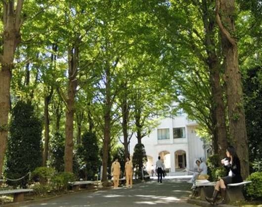 杏林大学