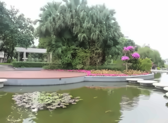 星海音乐学院出国留学