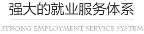 强大的就业服务体系
