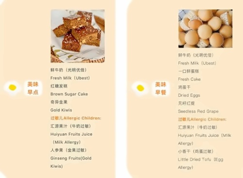 食谱