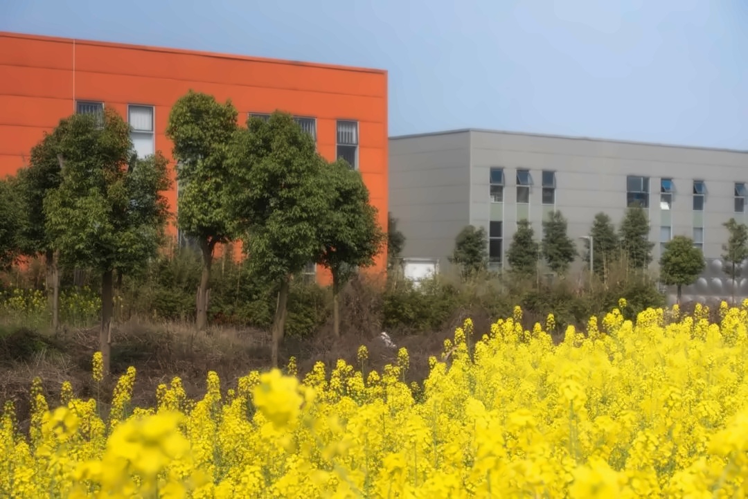 电子科技大学
