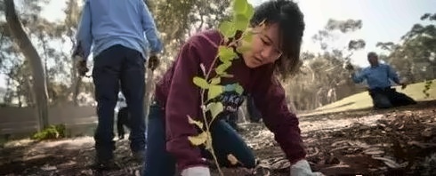 名校甚是看重学生的社会责任感