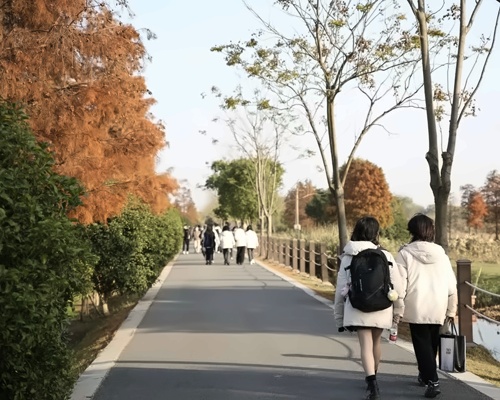 森林之旅