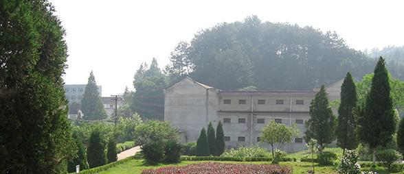 安徽行知学校