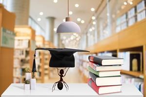 2021中国政法大学在职研究生考试高吗？.jpg