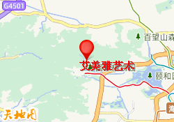 艾美雅艺术