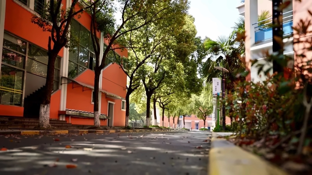 美国诺科学校上海分校.jpg