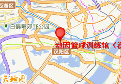 动因篮球训练馆（汉阳大桥局店）