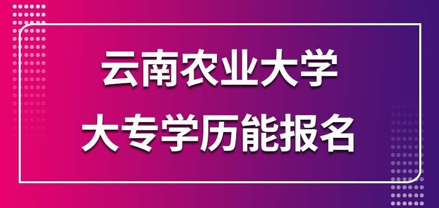 云南农业大学在职研究生就一个大专学历能让报名吗