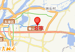 总校