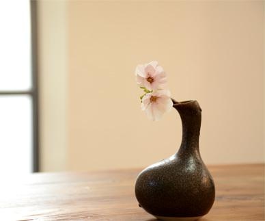 机构介绍