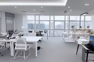 星展国际艺术教育艺术留学作品集培训招生简章