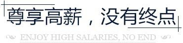 尊享高薪资，没有终点