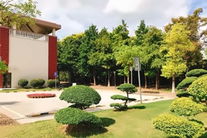 上海天华学院国际中本贯通项目3+4+0招生简章