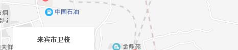 来宾卫生学校