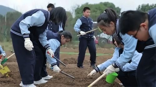 研学
