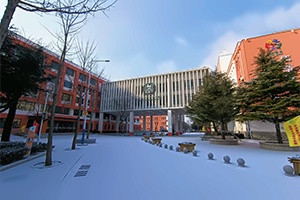 青岛通济实验学校国际部校园冬景