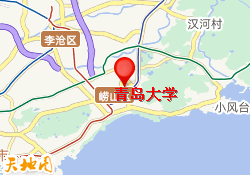 青岛大学