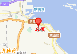总校