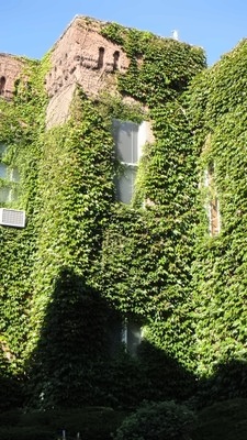 学校官方图片