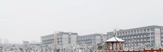 安徽国际商务职业学院2020年招生办