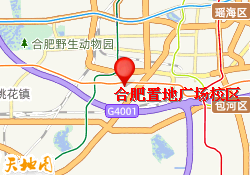 合肥置地广场校区