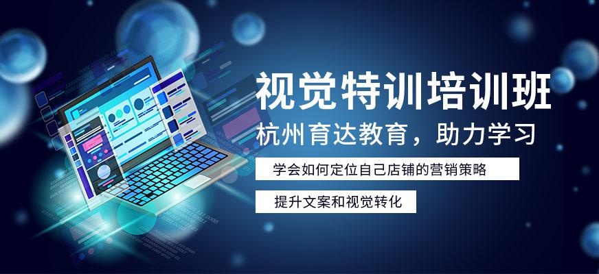杭州视觉特训班