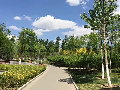 清华志清中学国际部校园环境4