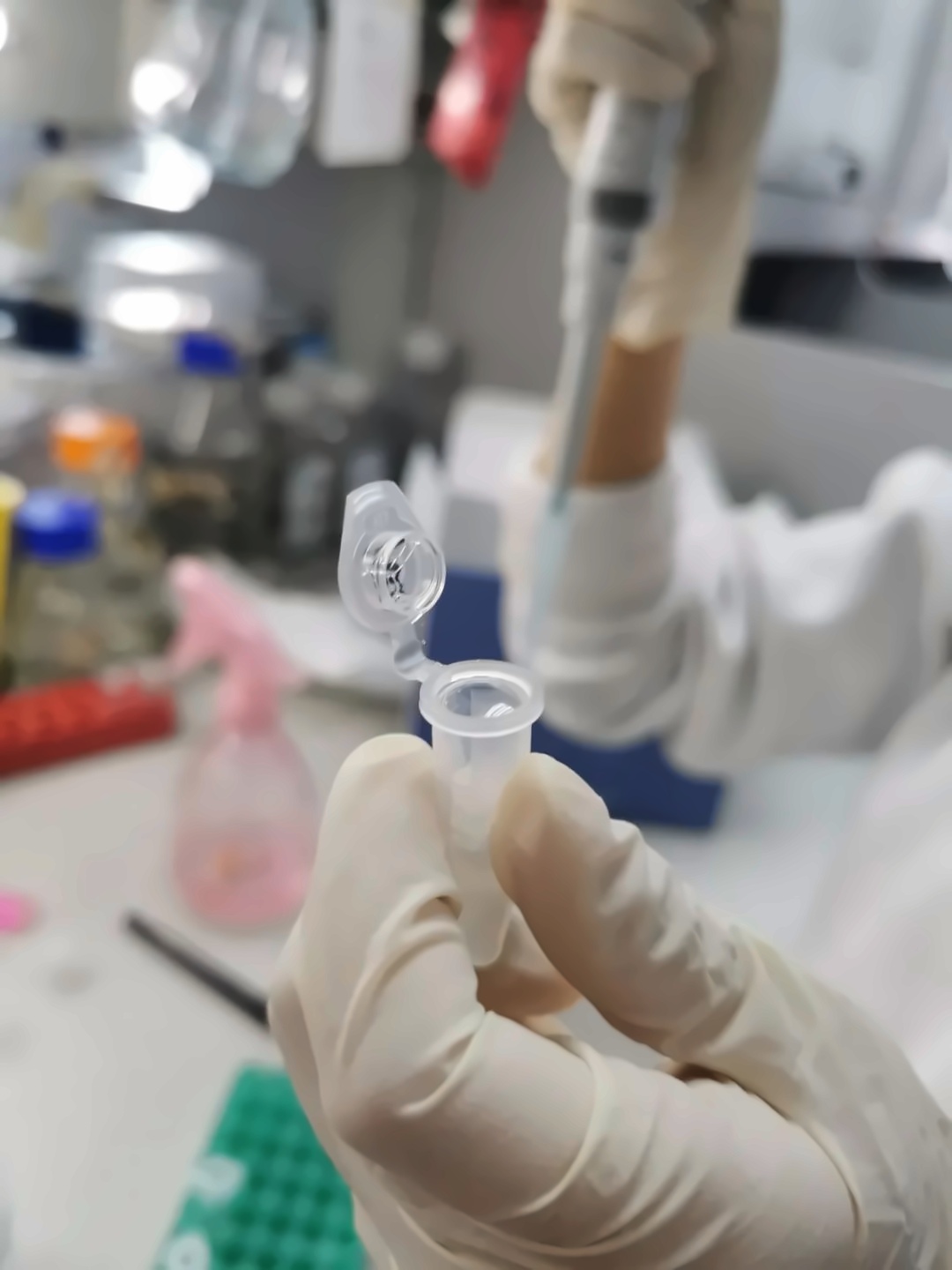同学们在实验室研究生学长学姐的指导下一步步完成实验.jpg