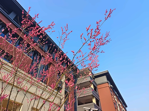BANZ宝山校区