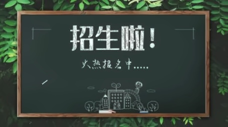 天津美达菲国际学校报名条件