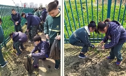 农耕文化节.jpg
