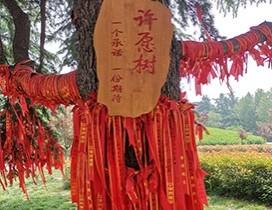 青岛学府考研