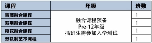 上海常青藤學(xué)校融合課程部2023年招生計劃.jpg