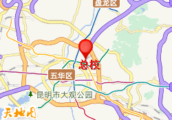 总校