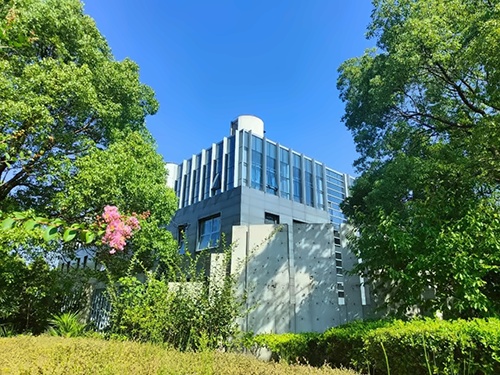 上海林国荣学校校园一角