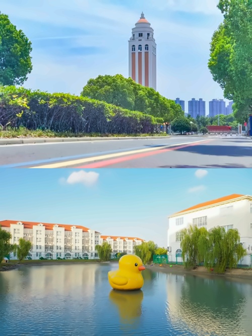 太仓市华顿外国语学校校园环境