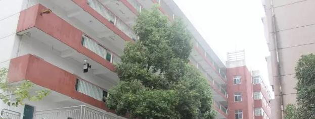 湖北东风汽车技师学院7
