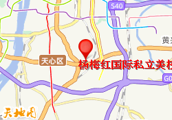 杨梅红国际私立美校