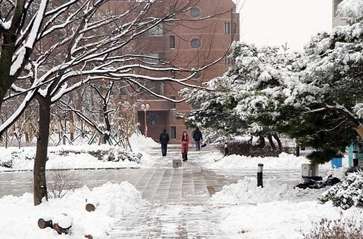 韩国加图立大学
