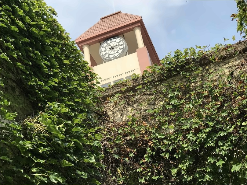 美华学校美国威睿达思国际课程中心.jpg