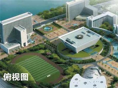 俯视图