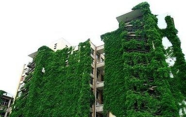 贵州大学校园６