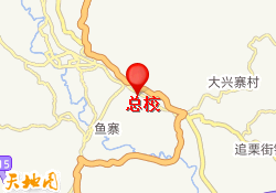 总校