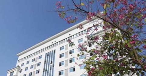 右江民族医学院