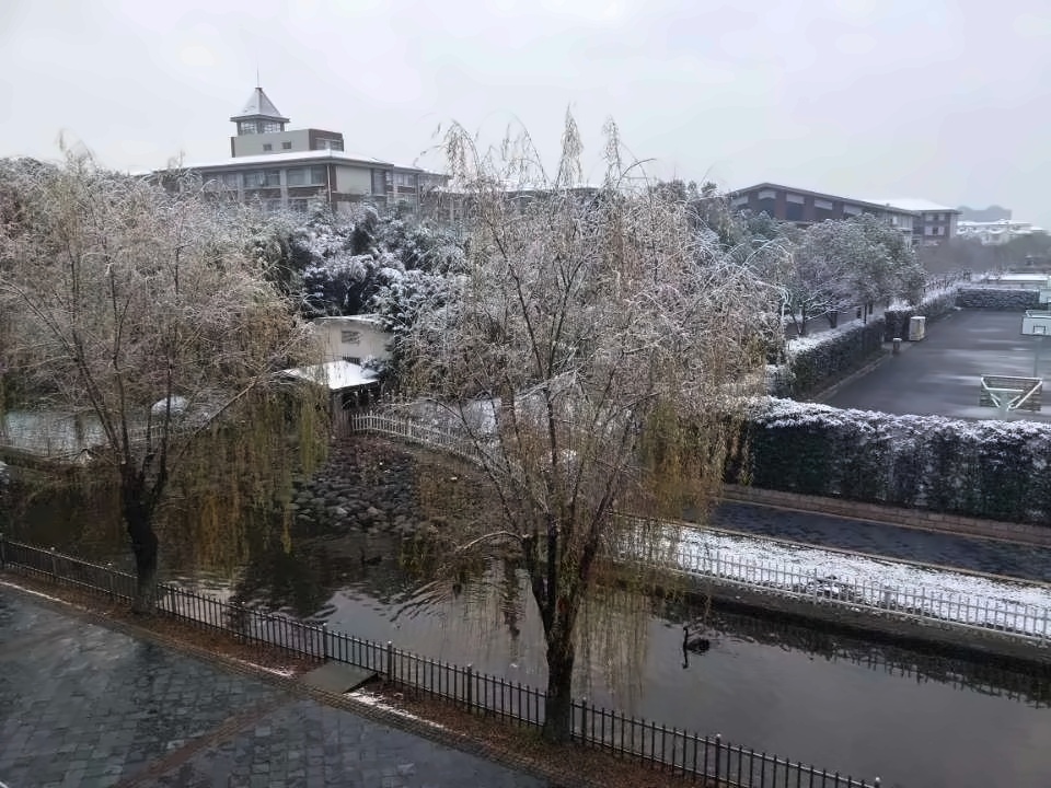 雪落时分萌宠仍在.jpg
