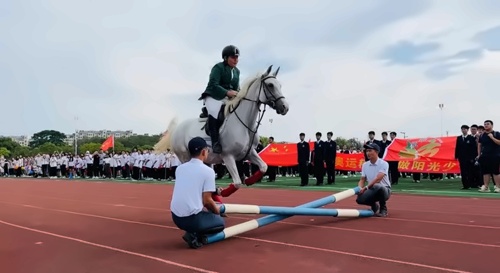馬術